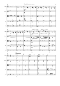 Symphony No. 25 - Mozart | Sheet Music | String Orchestra