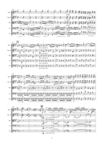 Symphony No. 29 - Mozart | Sheet Music | String Orchestra