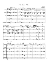 The Canary Polka | Sheet Music | String Orchestra