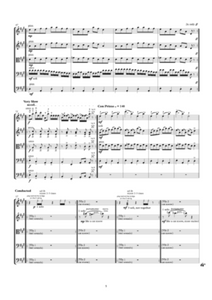 The Canary Polka | Sheet Music | String Orchestra