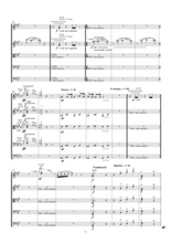 The Canary Polka | Sheet Music | String Orchestra